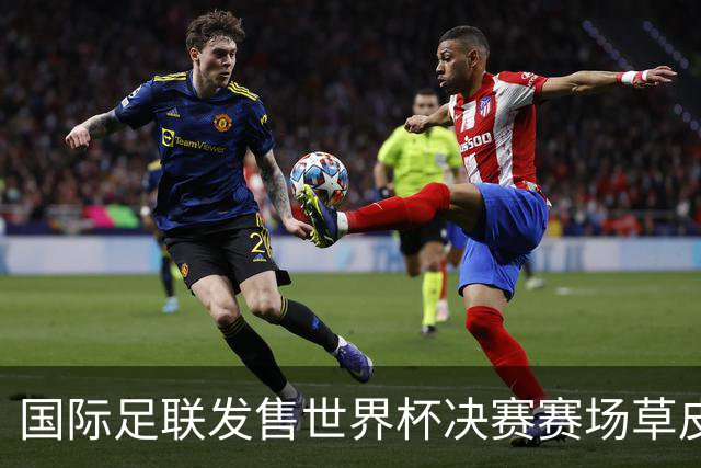 国际足联发售世界杯决赛赛场草皮 450美元一份